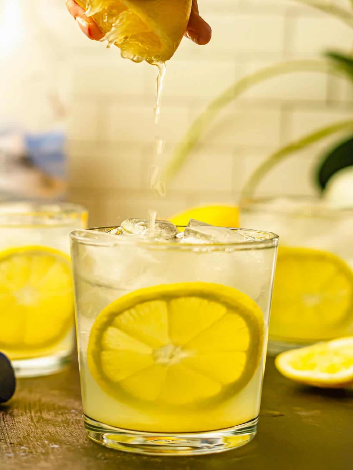 Lime Vodka Sour Recipe Besto Blog