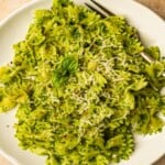 A plate full of farfalle pasta with pesto.