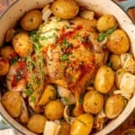 Whole chicken surrounded by baby potatoes and onion in a Dutch oven.