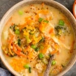 A bowl of chicken broccoli cheddar soup.