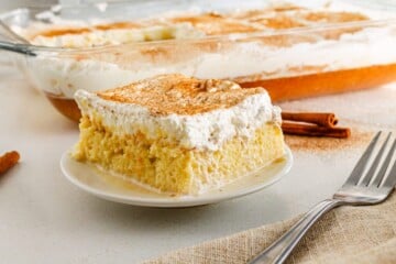 Tres lech cake slice on a white plate sprinkled with cinnamon.