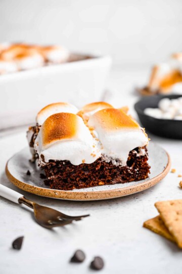 Slice of chocolate cake on a speckled plate with toasted marshmallow topping.