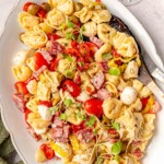Tortellini pasta salad mixed with salami, mozzarella, tomatoes, olives, and artichokes garnished with microgreens.