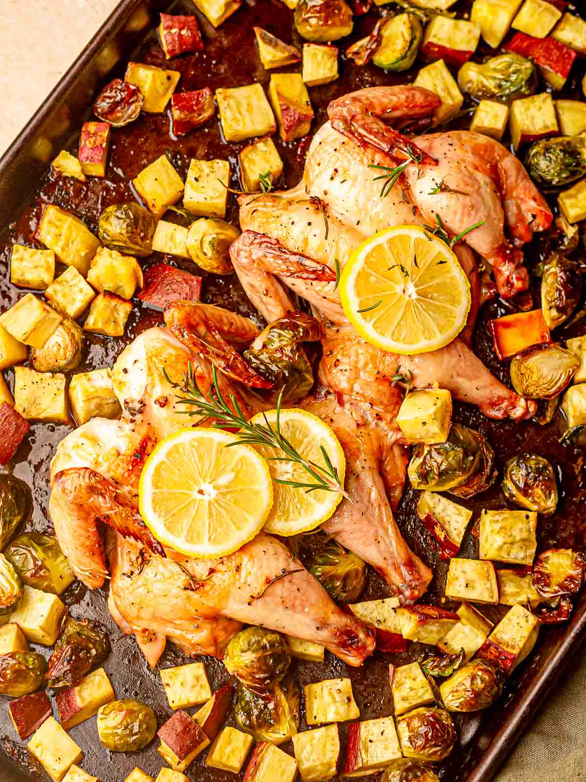 Roasted spatchcocked Cornish hens with lemon slices, Brussels sprouts, and sweet potatoes on a sheet pan.