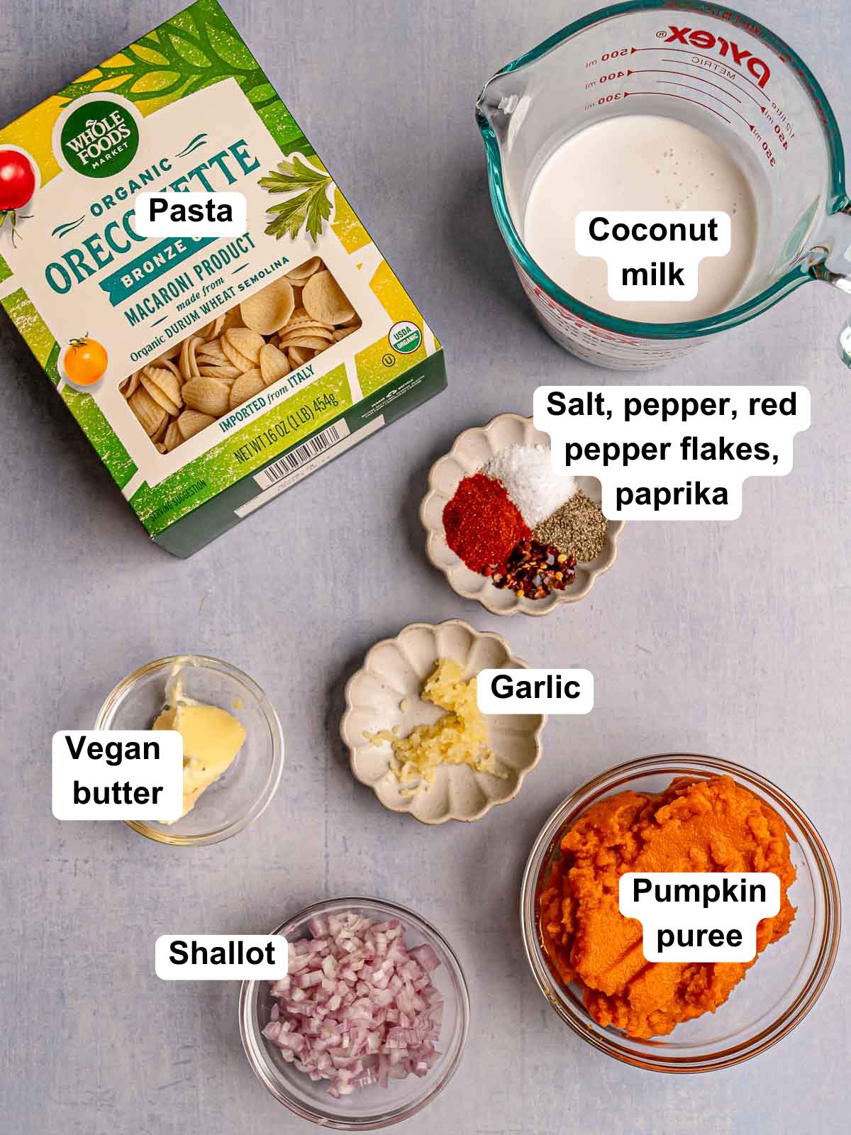 Labeled ingredients for vegan pumpkin pasta sauce including pasta, pumpkin puree, coconut milk, shallot, garlic, spices, and vegan butter.